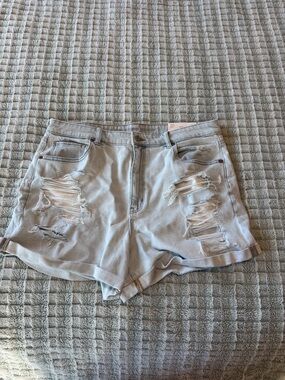 American Eagle Outfitters Light Blue Distressed Denim Shorts